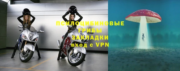шишки Богородск