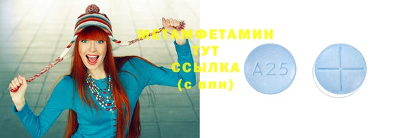 spice Богданович