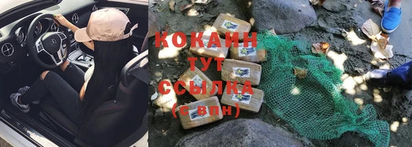 spice Богданович