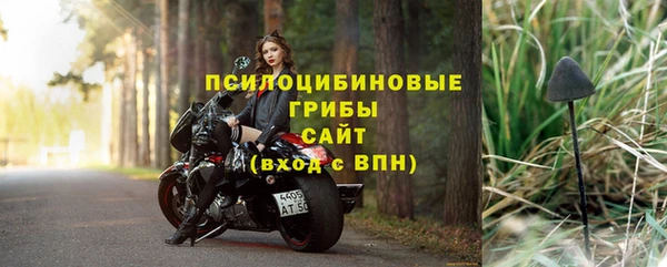 шишки Богородск
