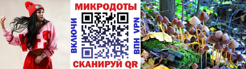 Купить  Видное  Псилоцибиновые грибы Psilocybine cubensis 